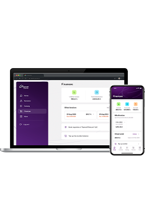 Check invoice and account details
