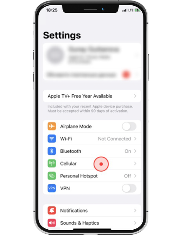 Select “Cellular”