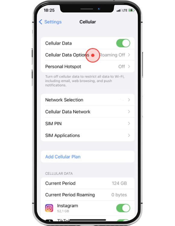 Select “Cellular Data Options”