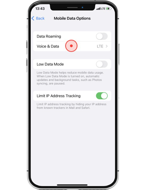Select “Voice & Data”